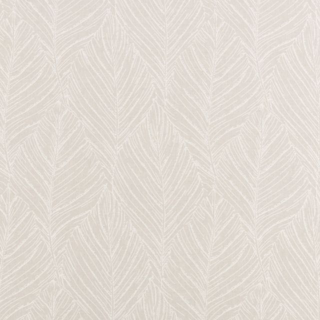 Bill Beaumont Nordic Minska Mist