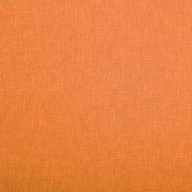 Ashley Wilde Cole 2 Cole Clementine