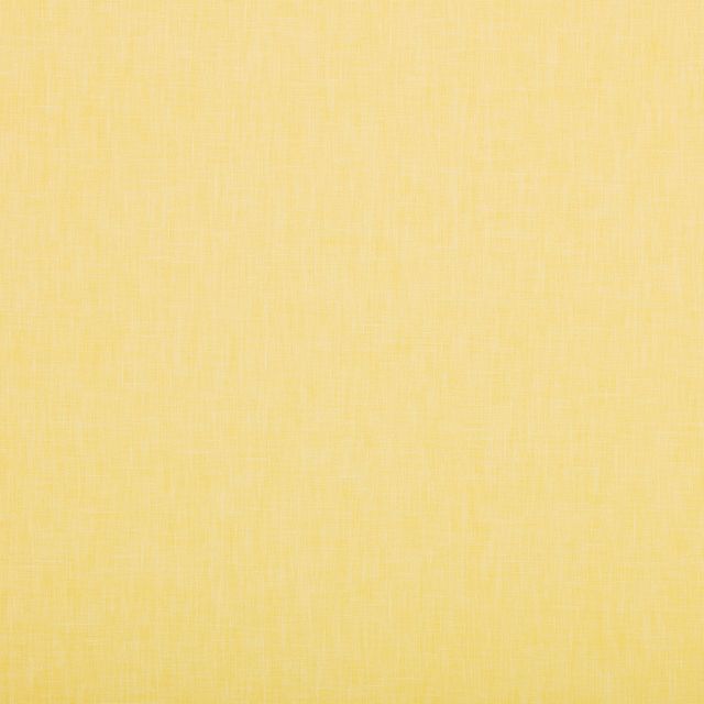 Ashley Wilde Cole 2 Cole Sorbet