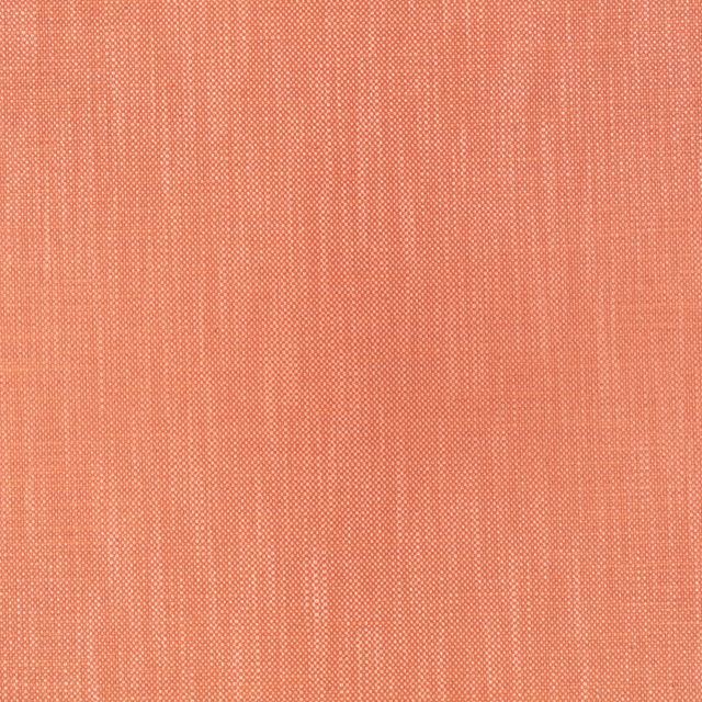 Romo Kensey Kensey Papaya