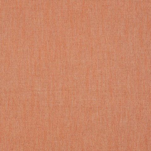 Romo Ruskin Ruskin Papaya Pelmet