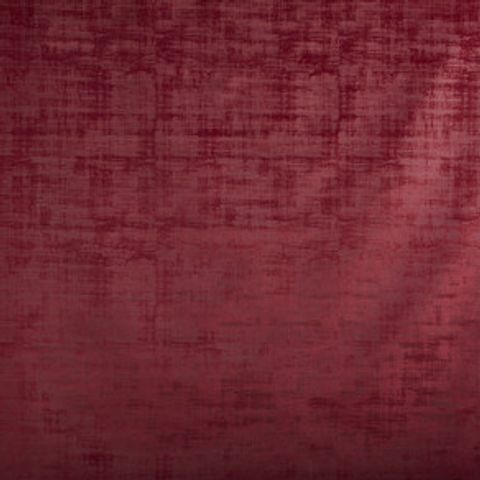 Imagination Cardinal