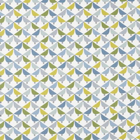 Lintu Gecko / Pacific / Glazier