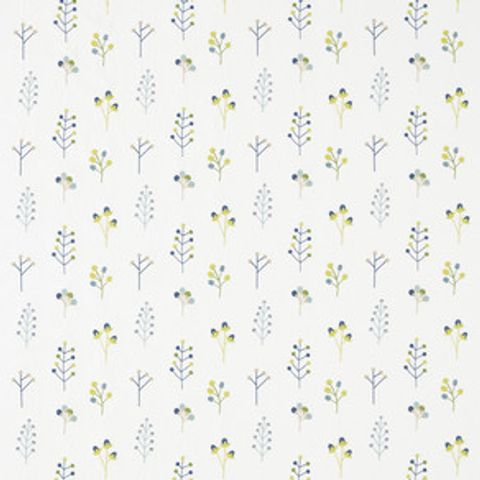 Mukula Gecko / Citrus / Pacific