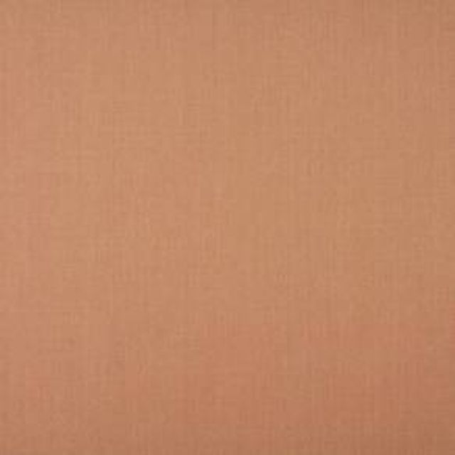 Ashley Wilde Cole Cole Blush