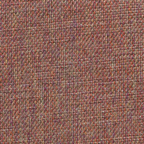 Classic Plain Salmon