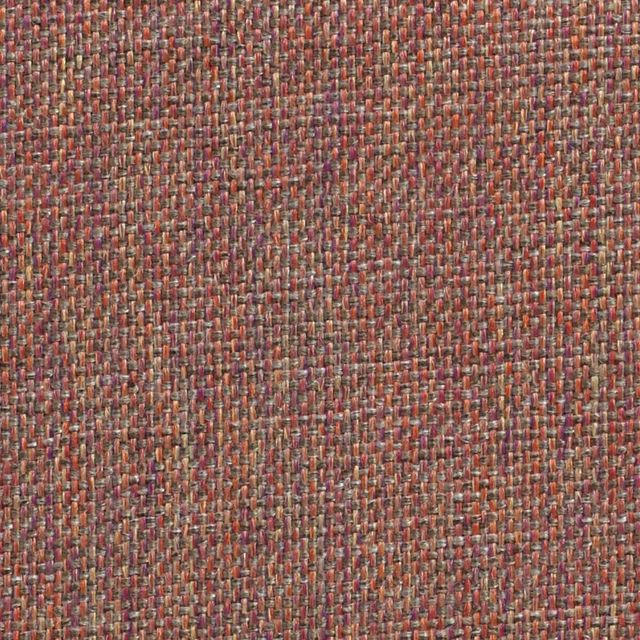 Classic Plain Salmon