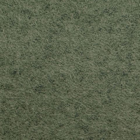 Classic Melton Fossil