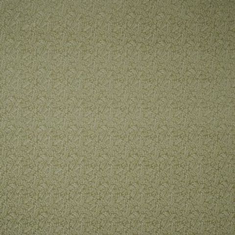 Brackenhill Moss Upholstery Fabric