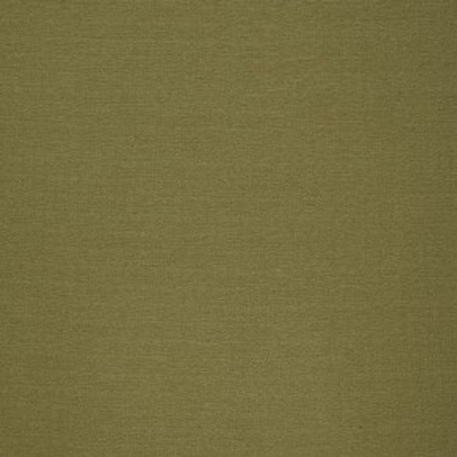 iLiv Plains book 3 Sonnet Chartreuse