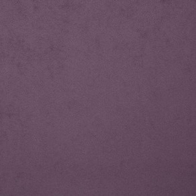 iLiv Plains Book 4 Geneva Dewberry