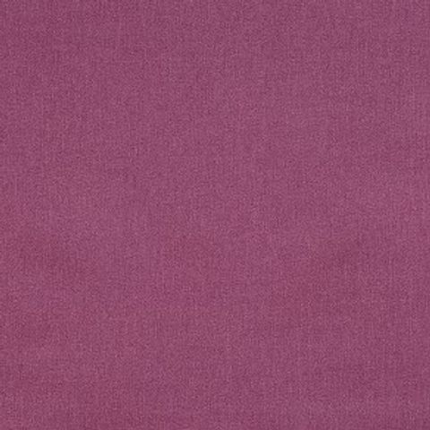 Hexham Petunia Upholstery Fabric