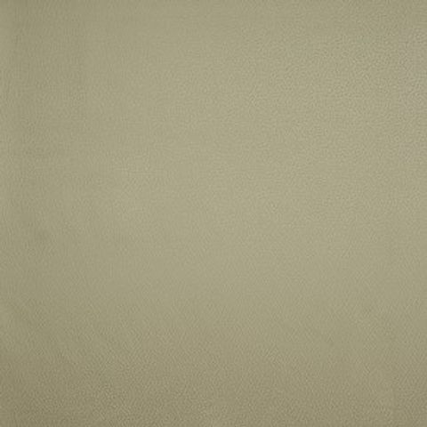 Crater Pearl Voile Fabric