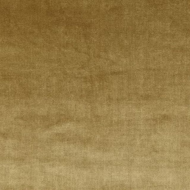 Prestigious Textiles Velour Velour Gold