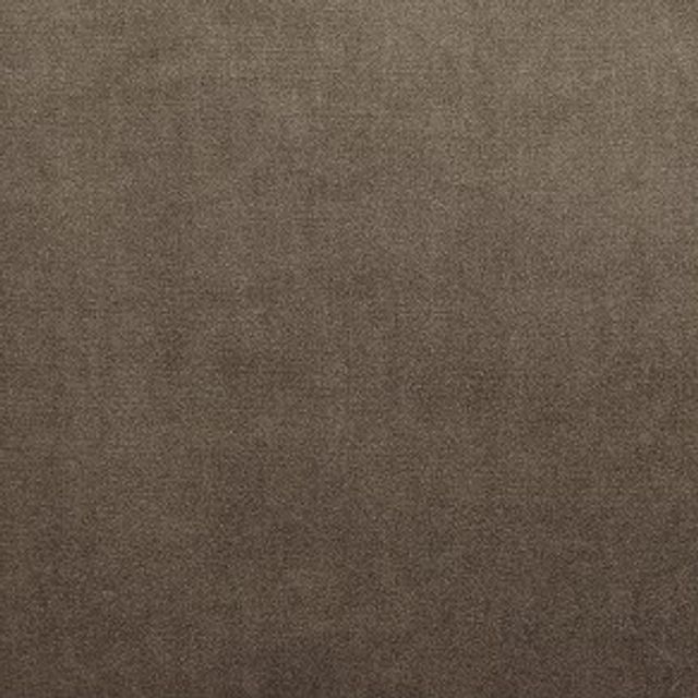 Prestigious Textiles Velour Velour Camel