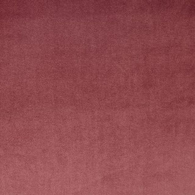 Prestigious Textiles Velour Velour Rosebud