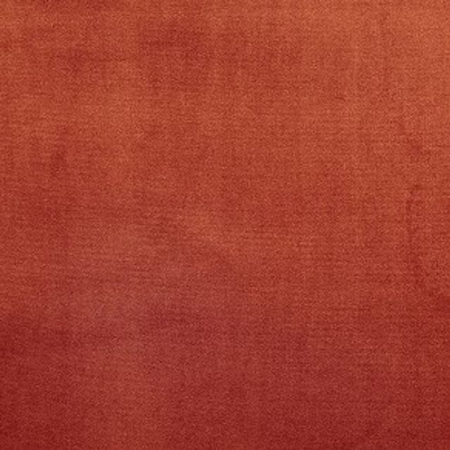 Prestigious Textiles Velour Velour Oxblood Upholstery Fabric