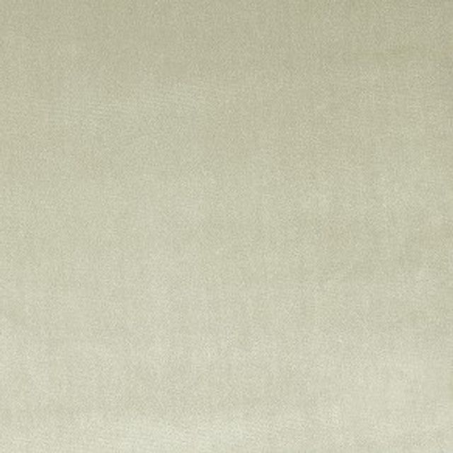 Prestigious Textiles Velour Velour Stone Upholstery Fabric