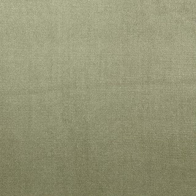 Prestigious Textiles Velour Velour Willow Upholstery Fabric