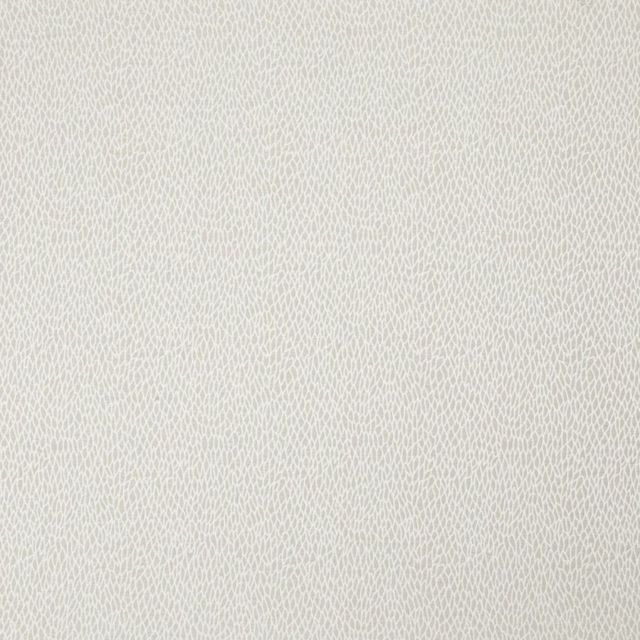 Ashley Wilde Essential Weaves 3 Roxton Champagne