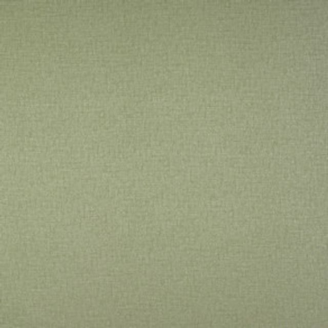 Fryetts Plains Carnaby Pampas