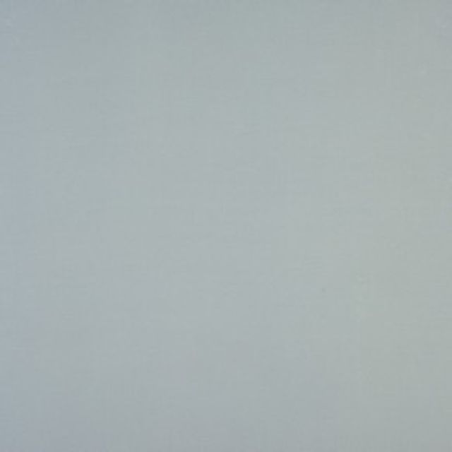 Fryetts Panama Panama Dove