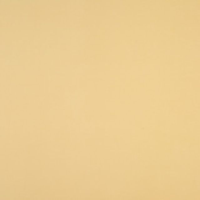 Fryetts Panama Panama Willow