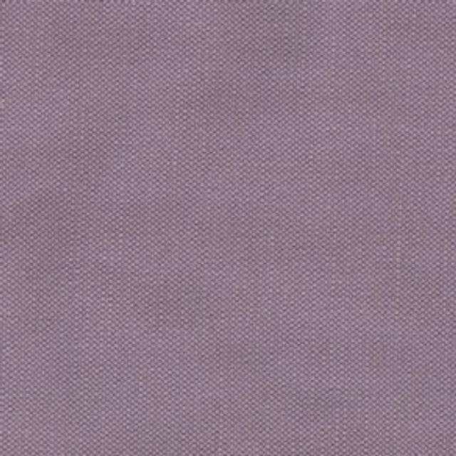 Whitewell Lavender