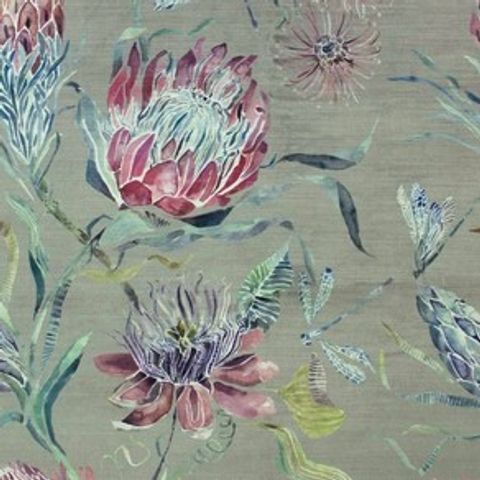 Moorehaven Velvet Grape