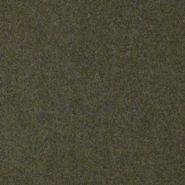 Abraham Moon Transitional Earth Fern