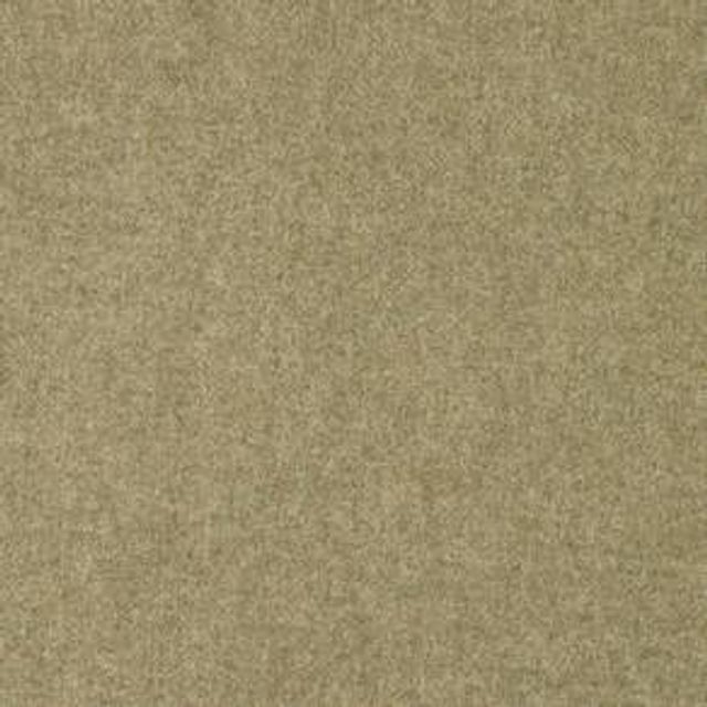 Abraham Moon Transitional Earth Buttermilk