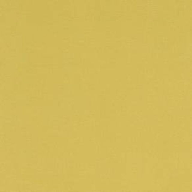 Studio G Alora Alora CELERY