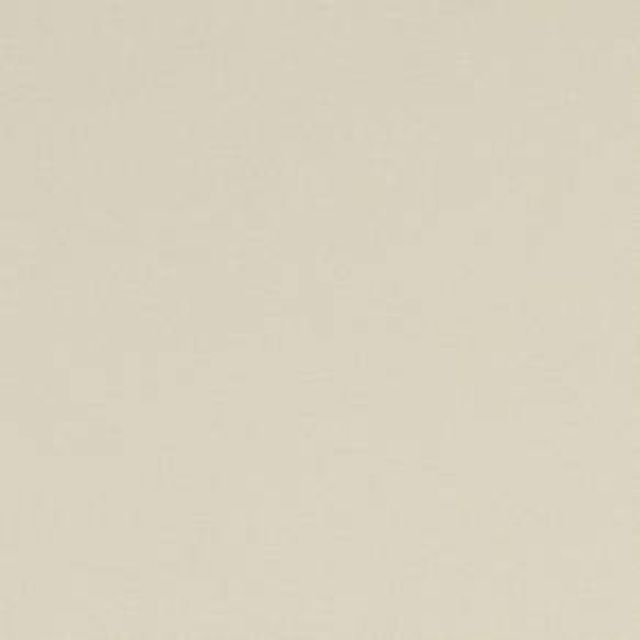 Studio G Alora Alora Parchment