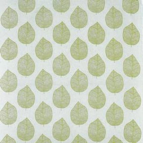 Sorano Eucalyptus Voile Fabric