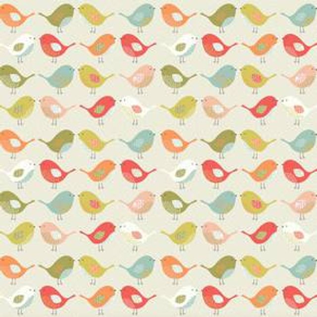 Fryetts Novelty Time Birds Multi