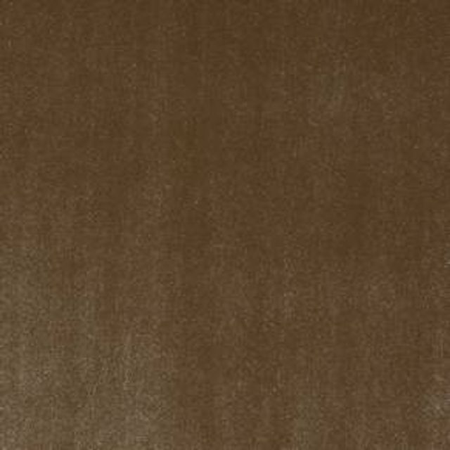 Fryetts Glamour Glamour Oyster