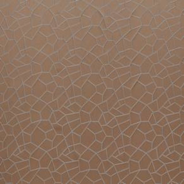 iLiv Charleston Mosaic Coral