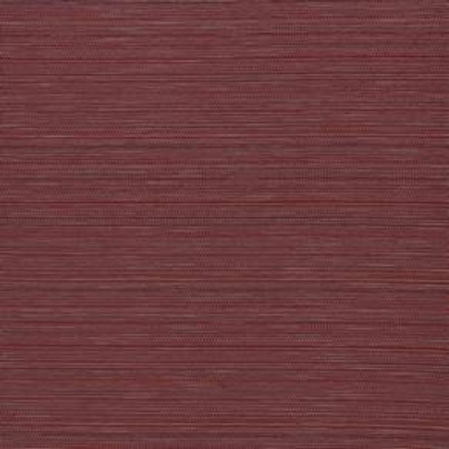 iLiv Rainforest Galapagos Cranberry