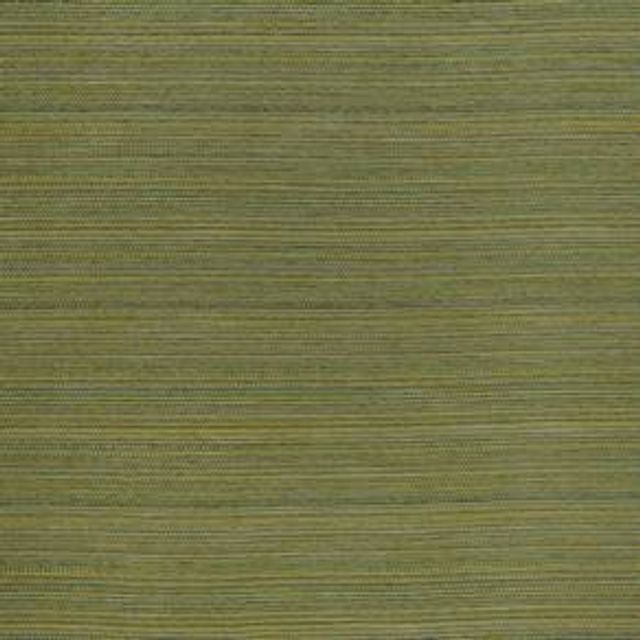 iLiv Rainforest Galapagos Forest