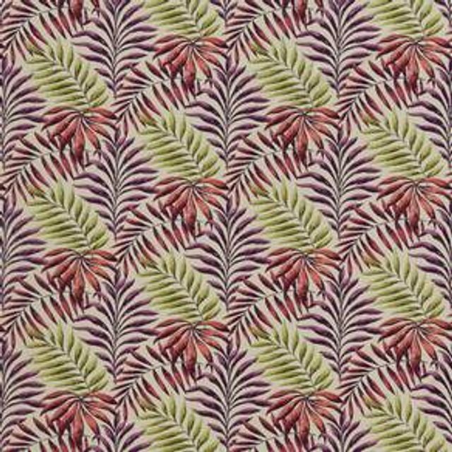 iLiv Rainforest Manila Cranberry
