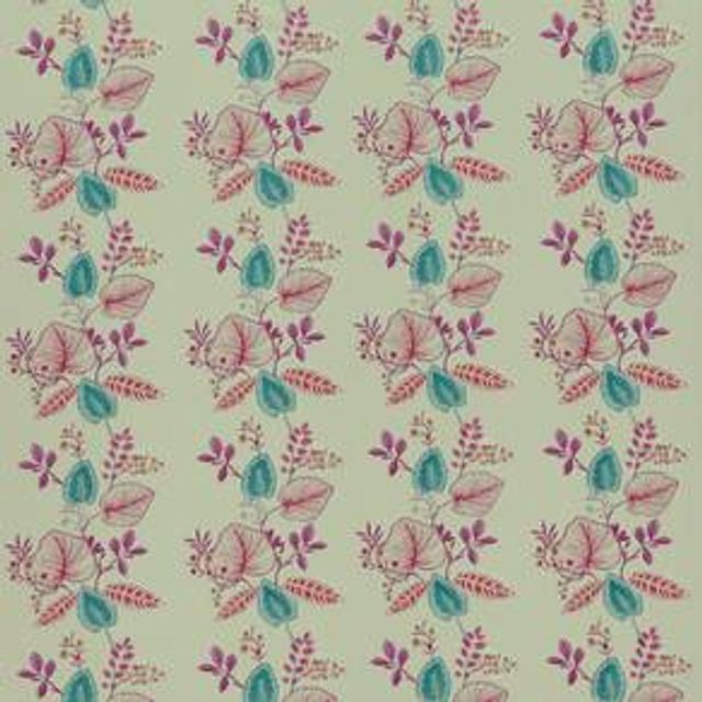 iLiv Rainforest Serengeti Cassis