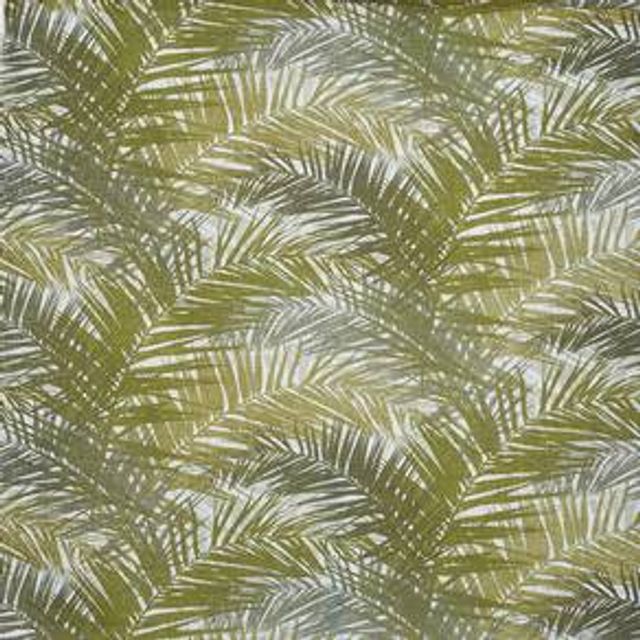Jungle Palm