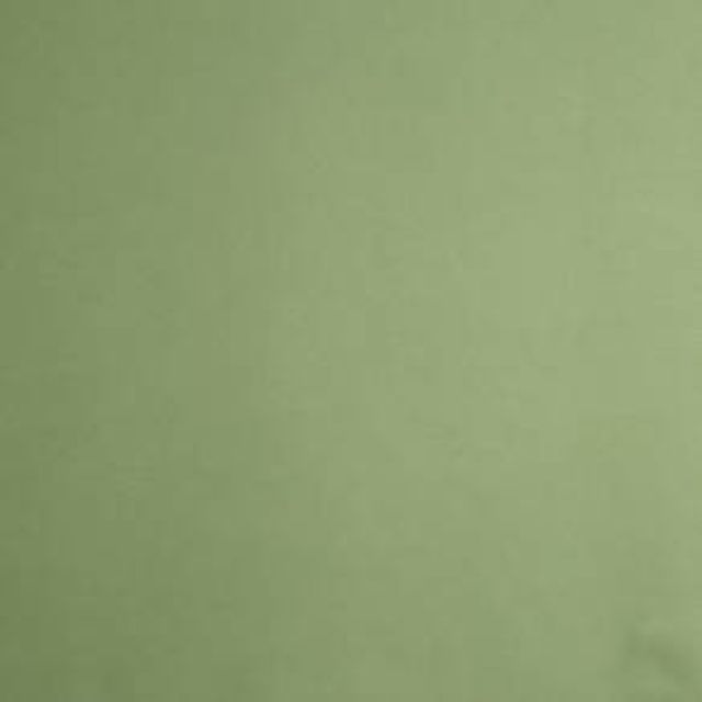 Prestigious Textiles Calm & Gentle Calm Leaf