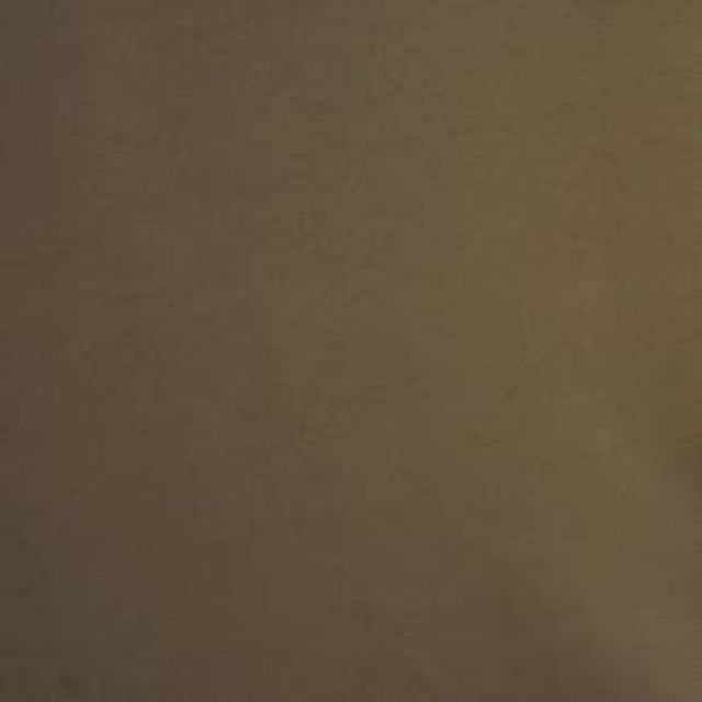 Prestigious Textiles Calm & Gentle Calm Mole