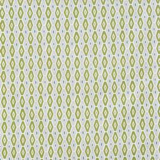 Prestigious Textiles Meeko Karaz Cactus