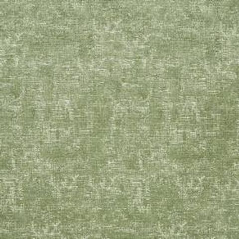 Arcadia Willow Voile Fabric