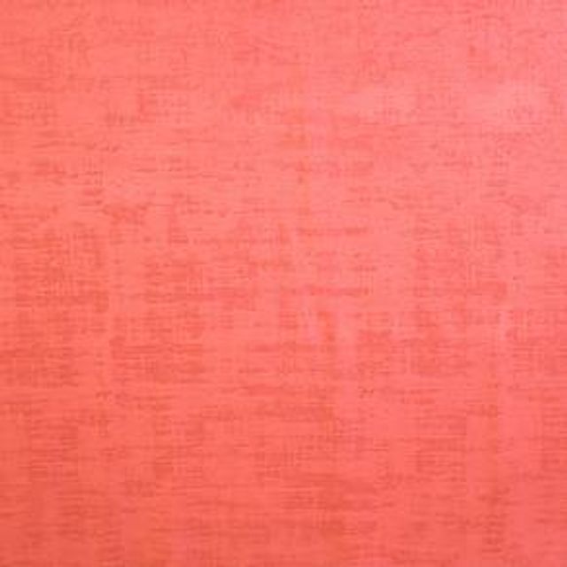 Ashley Wilde Dakota Dakota Coral