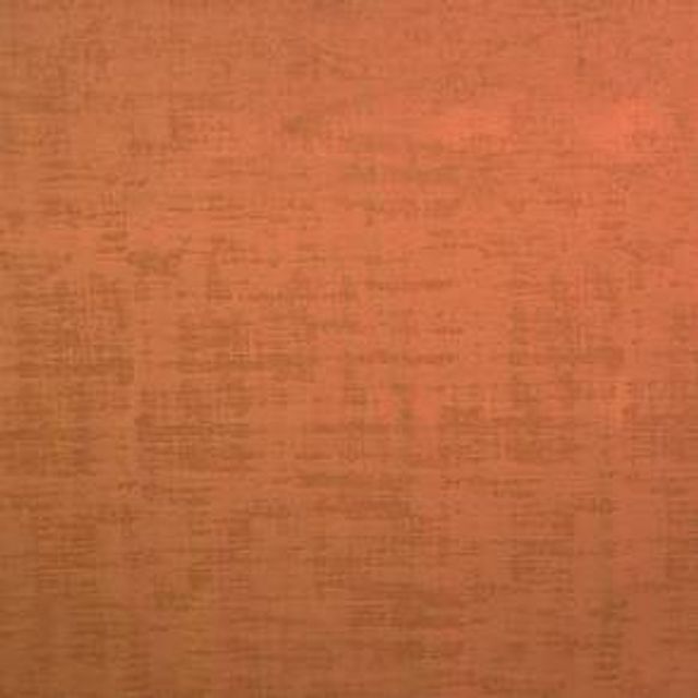 Ashley Wilde Dakota Dakota Saffron