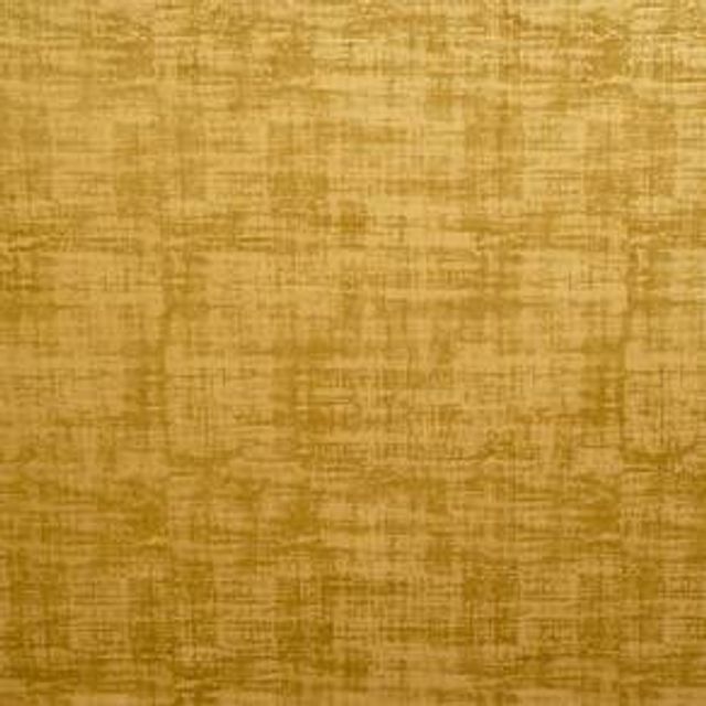 Ashley Wilde Dakota Dakota Ochre