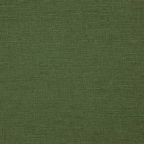 Riviera Chive Voile Fabric